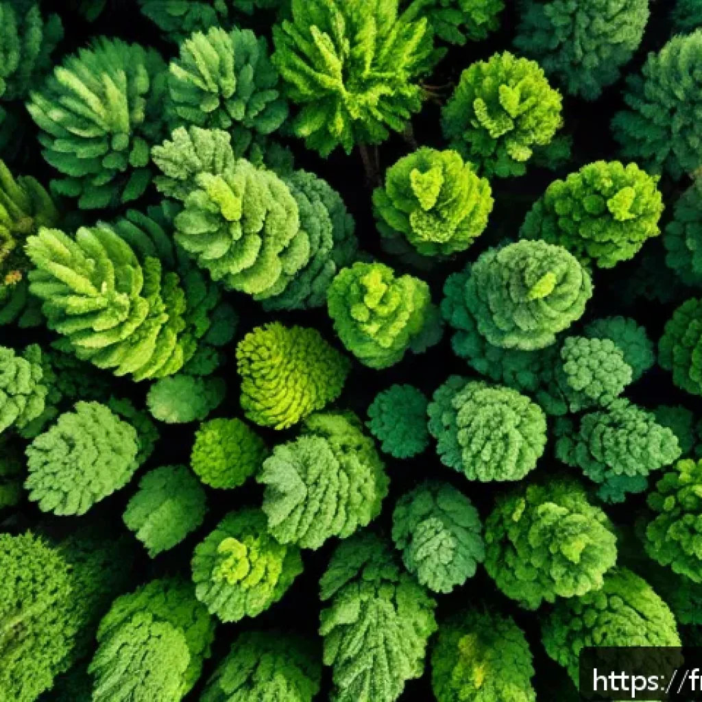 무인기 UAV 시스템 - A high-resolution aerial view of a dense European forest captured by a drone flying at low altitude,...