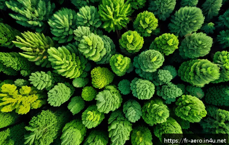 무인기 UAV  시스템 - A high-resolution aerial view of a dense European forest captured by a drone flying at low altitude,...
